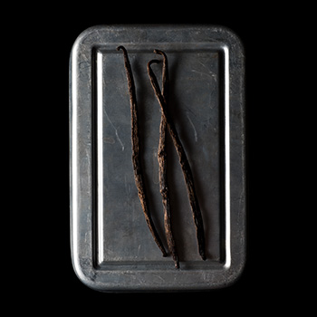 Vanilla beans on a plate Vanilla beans on a plate